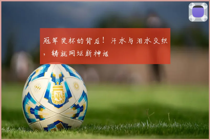 冠军奖杯的背后！汗水与泪水交织，铸就网坛新神话